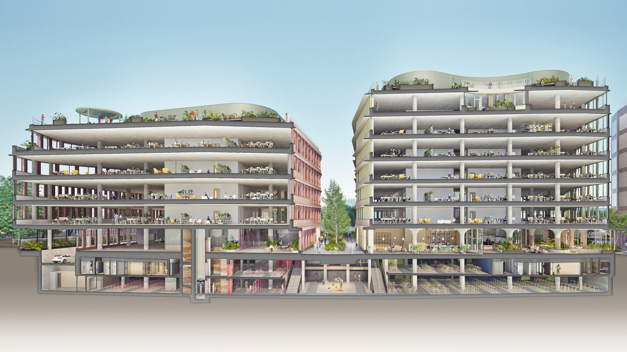 Botanic Place cross-section showing both buildings
