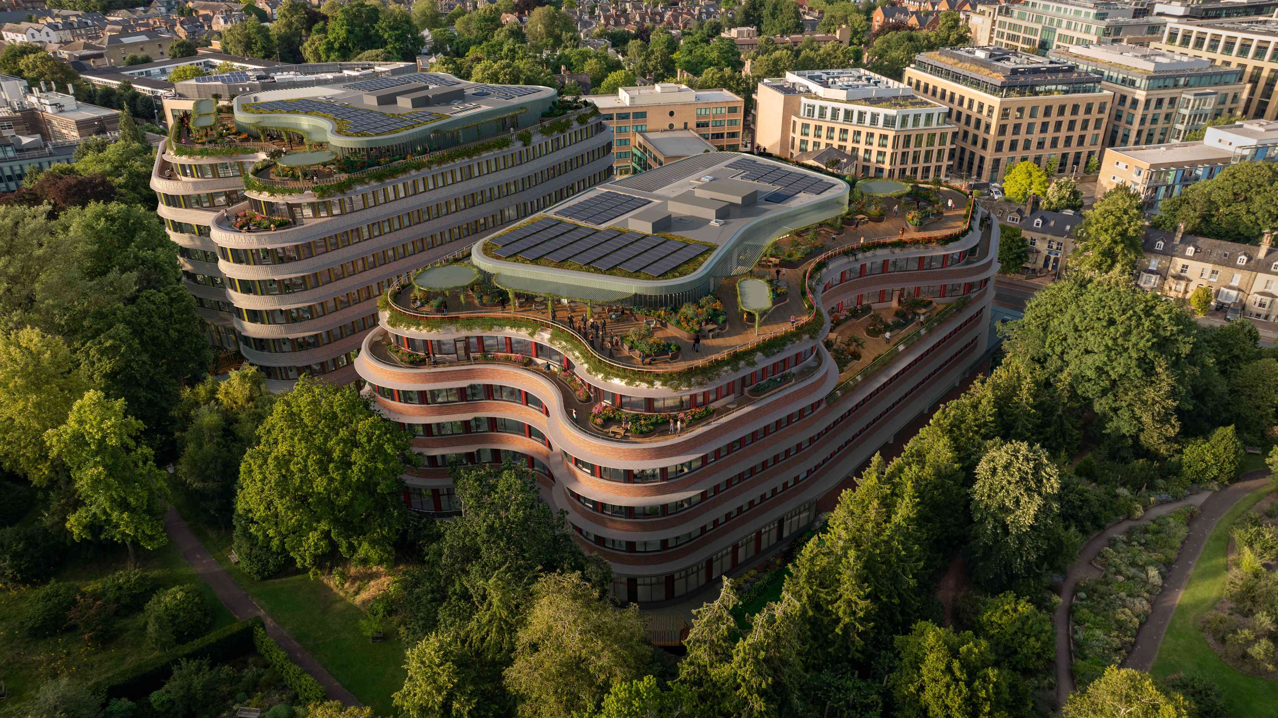 Extensive green roofs